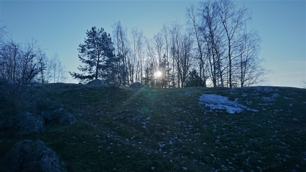arctic