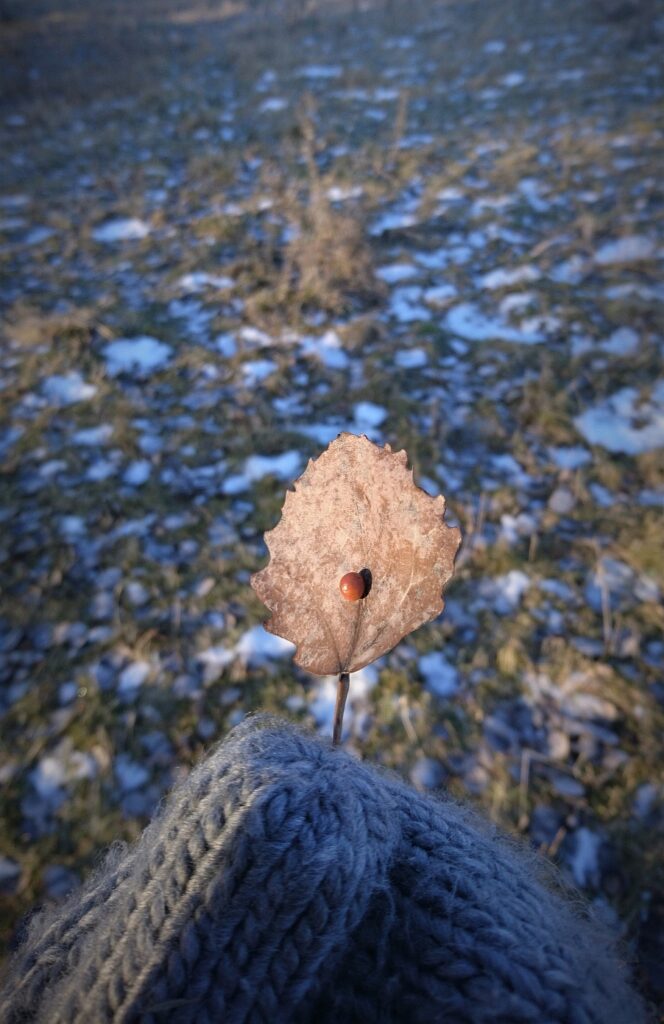 naturen